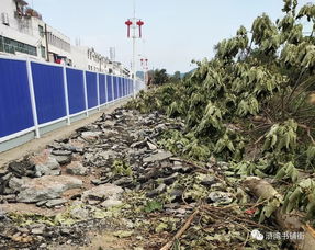 滸灣“一水兩岸”景觀工程正式啟動勘察，打造濱水生態(tài)新地標(biāo)
